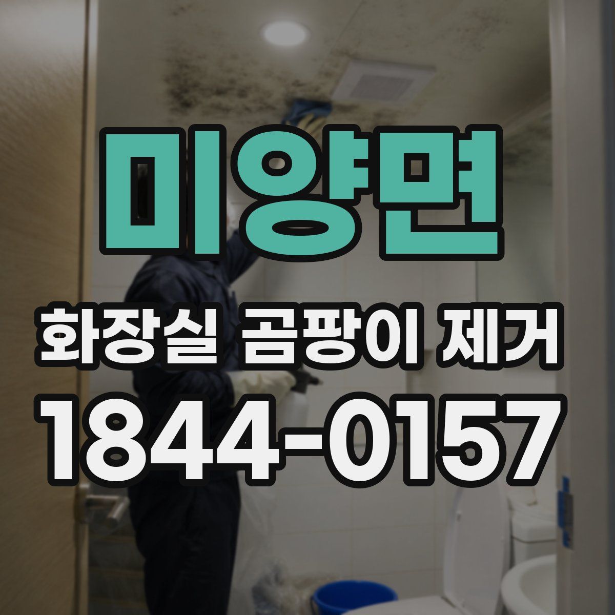 미양면 화장실 곰팡이 제거