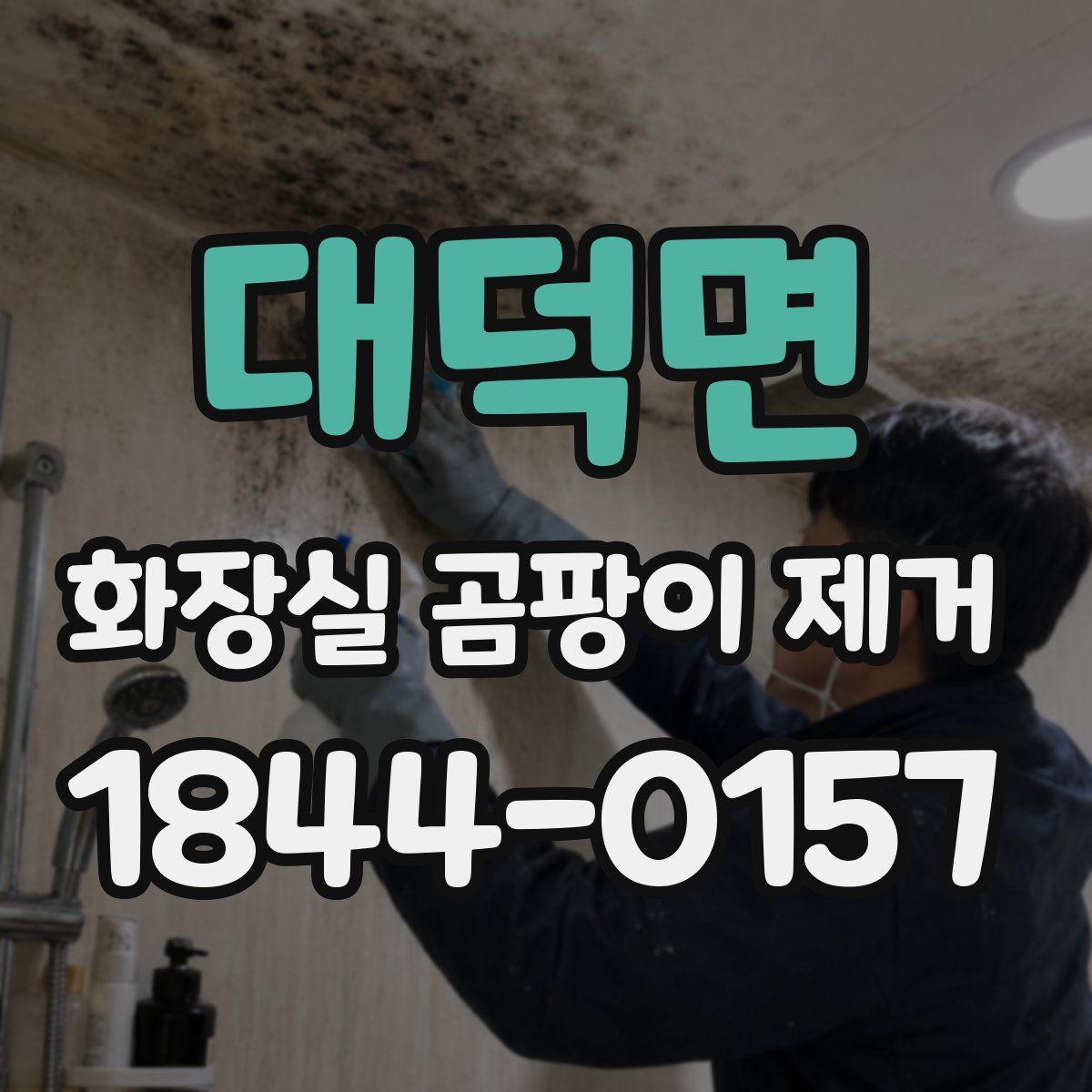 대덕면 화장실 곰팡이 제거