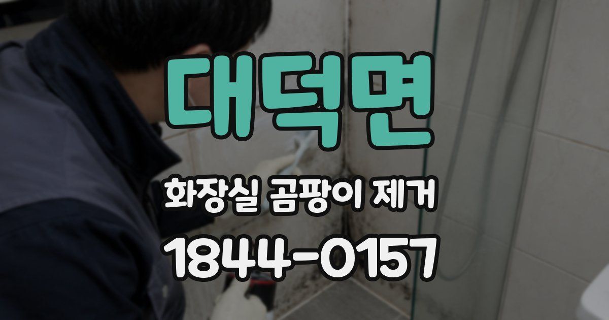 대덕면 화장실 곰팡이 제거