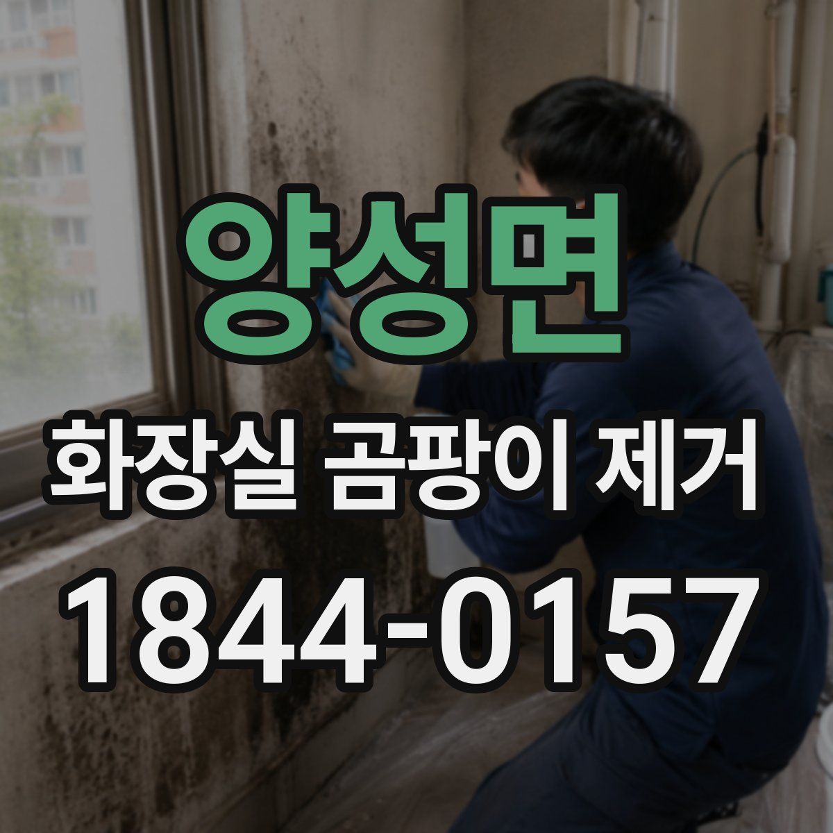 양성면 화장실 곰팡이 제거