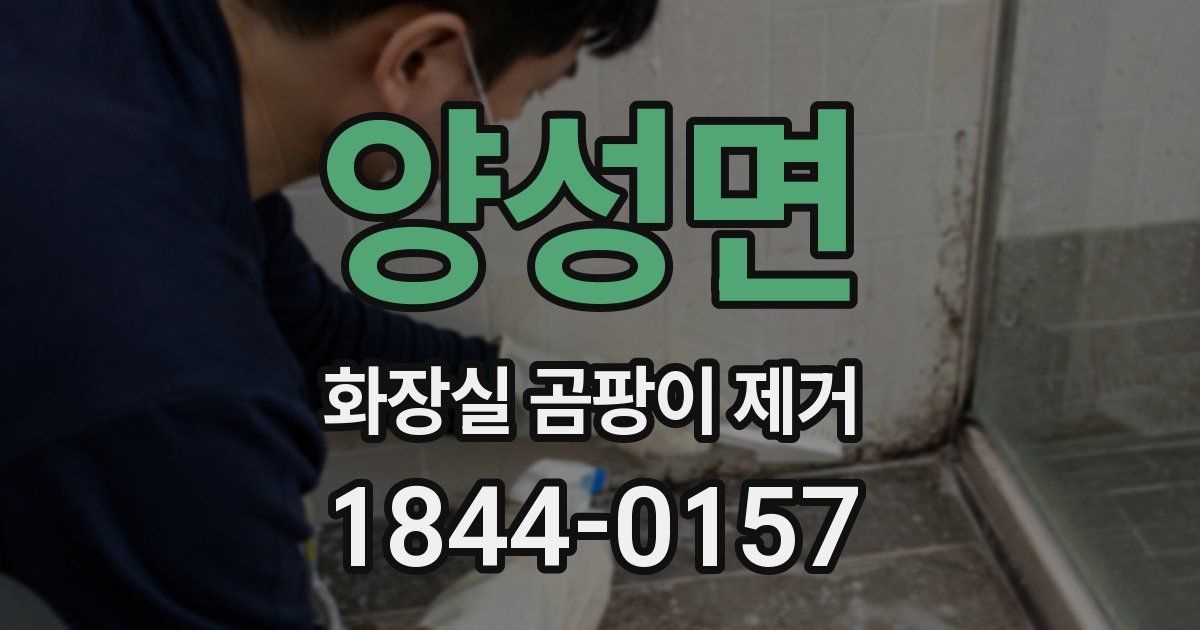 양성면 화장실 곰팡이 제거