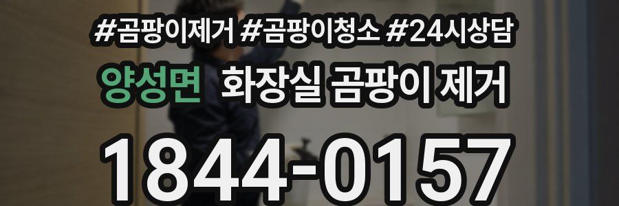 양성면 화장실 곰팡이 제거