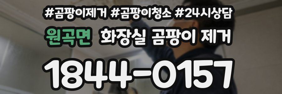 원곡면 화장실 곰팡이 제거