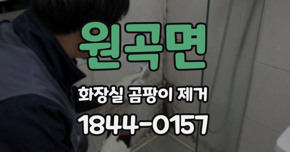 원곡면 화장실 곰팡이 제거