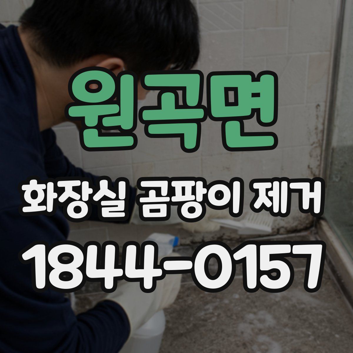 원곡면 화장실 곰팡이 제거