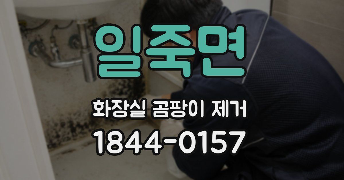 일죽면 화장실 곰팡이 제거