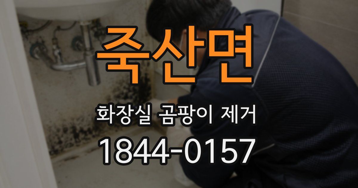 죽산면 화장실 곰팡이 제거