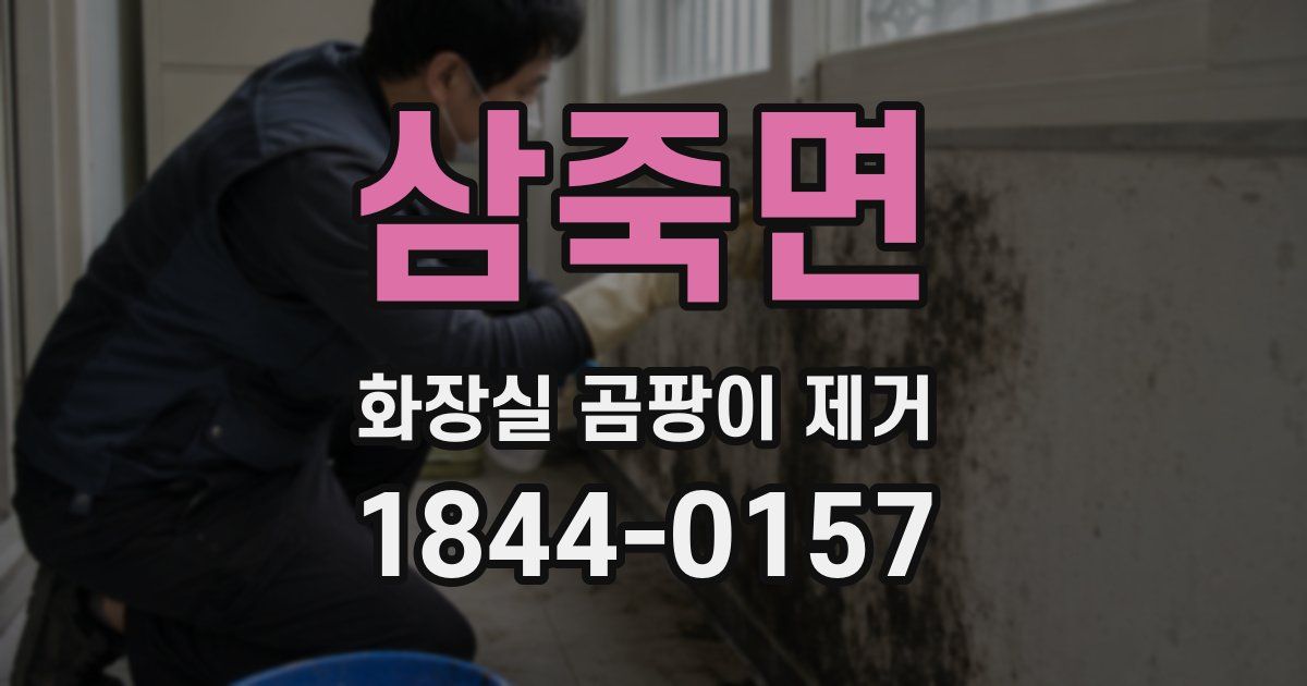 삼죽면 화장실 곰팡이 제거
