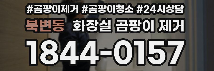 북변동 화장실 곰팡이 제거