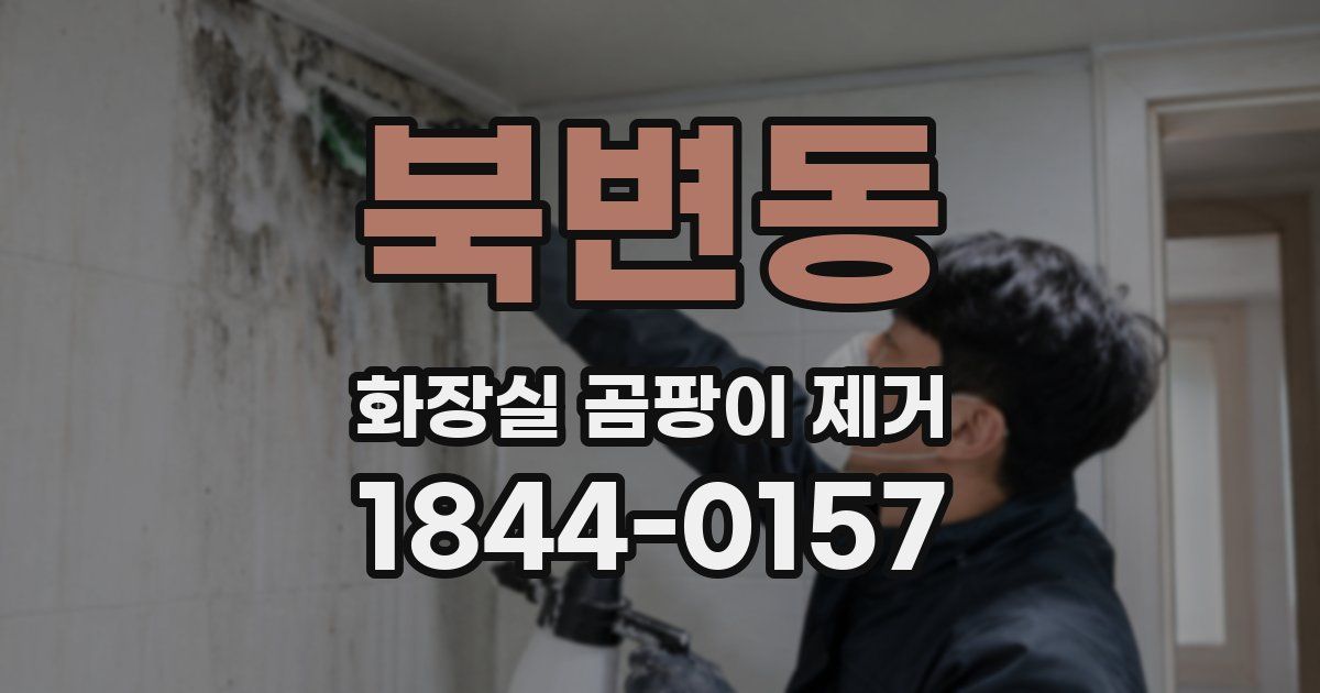 북변동 화장실 곰팡이 제거
