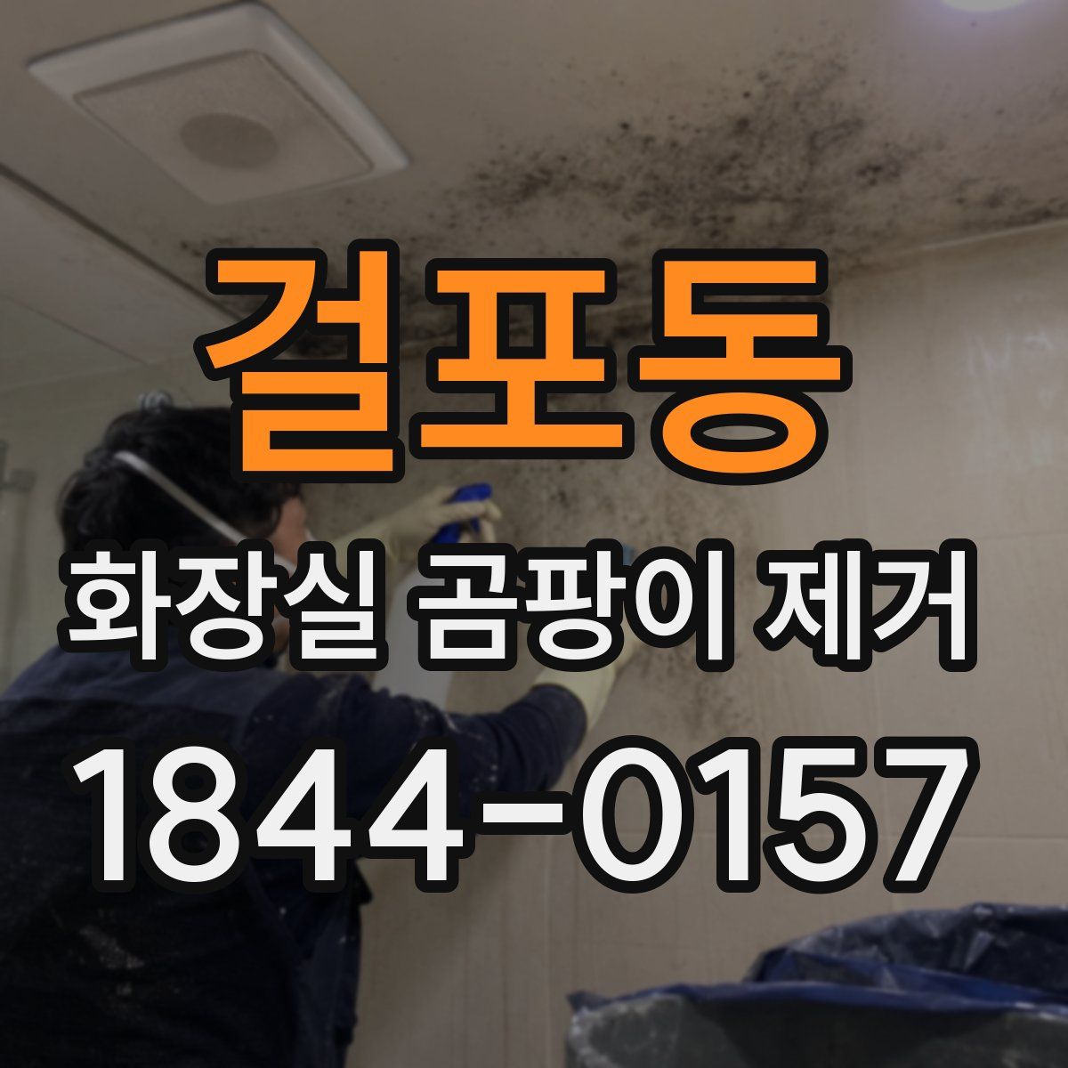걸포동 화장실 곰팡이 제거