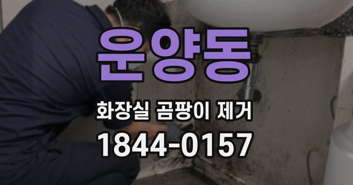 운양동 화장실 곰팡이 제거