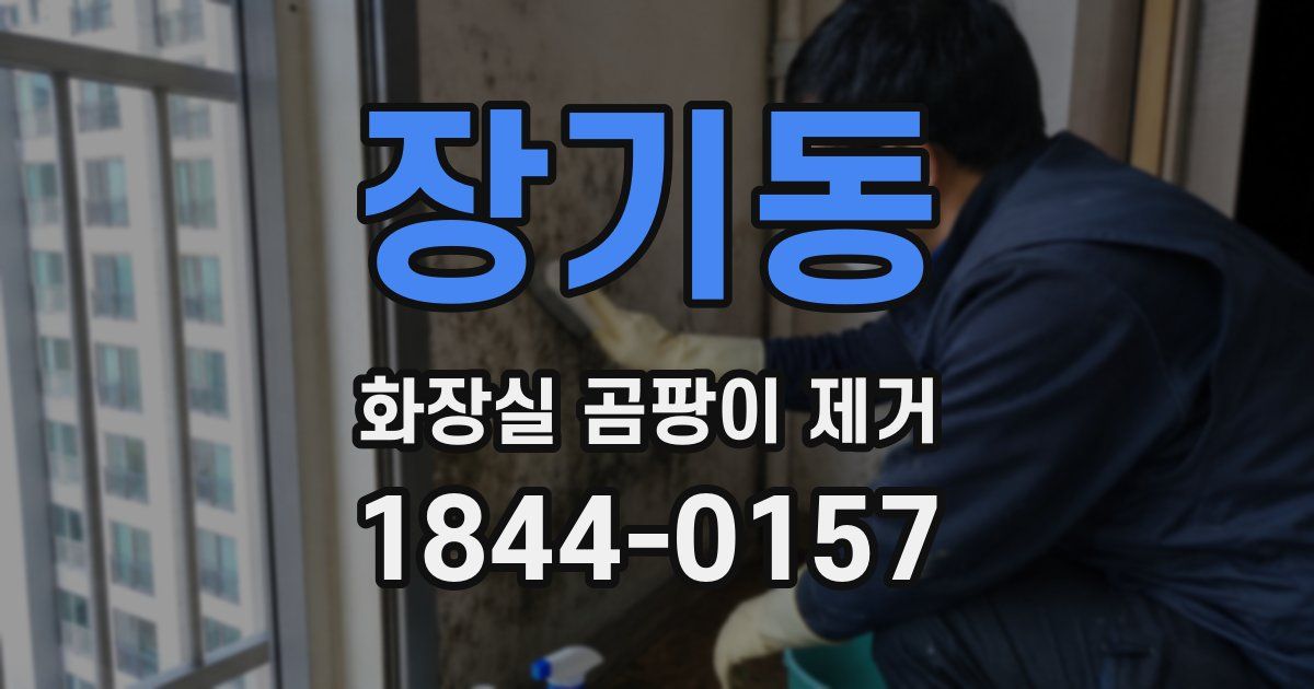 장기동 화장실 곰팡이 제거