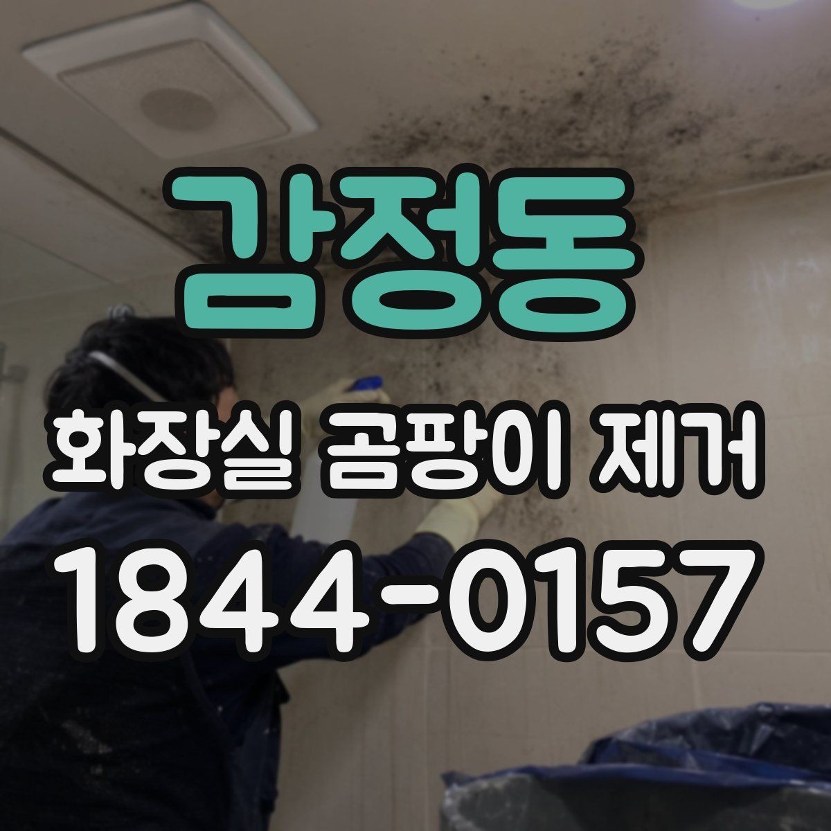 감정동 화장실 곰팡이 제거 청소 전 알아둘 욕실 환경 점검 항목