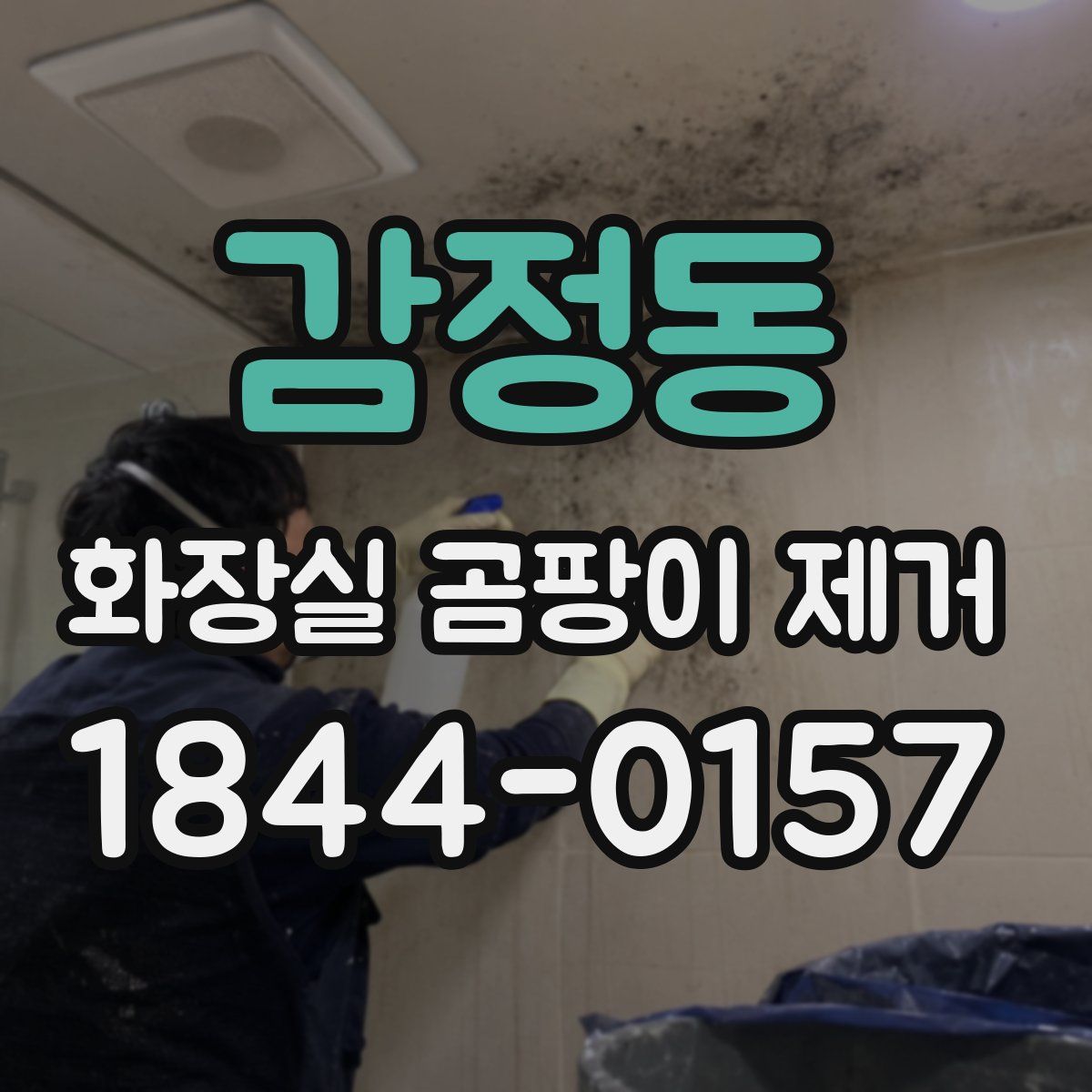 감정동 화장실 곰팡이 제거