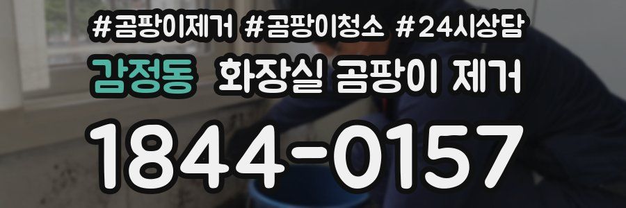 감정동 화장실 곰팡이 제거