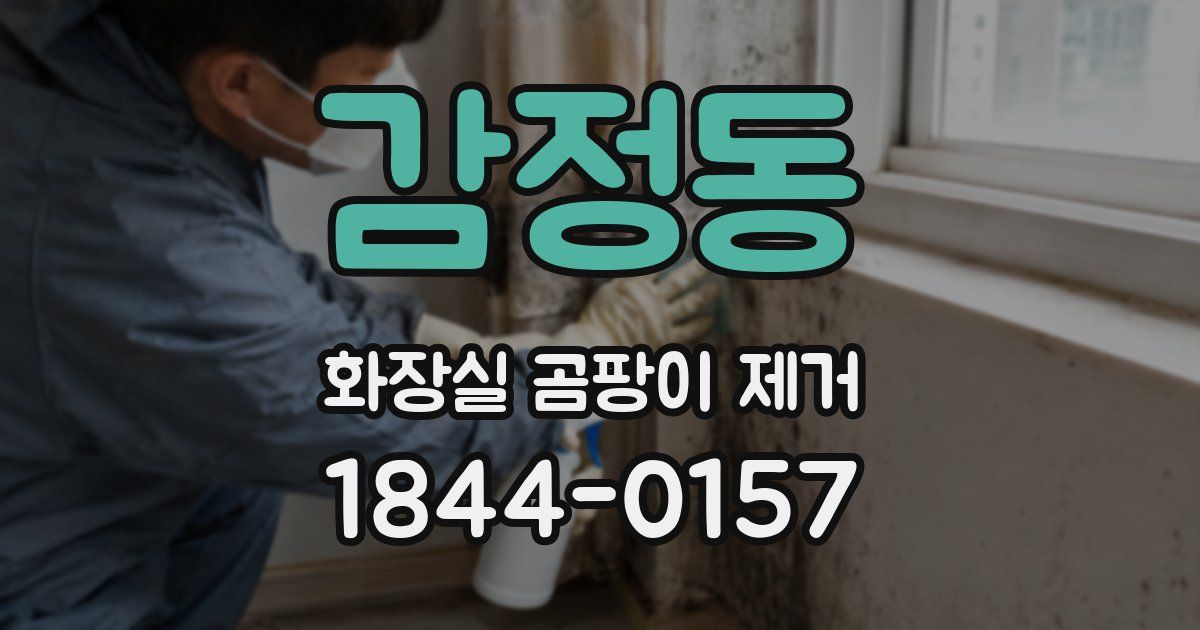 감정동 화장실 곰팡이 제거