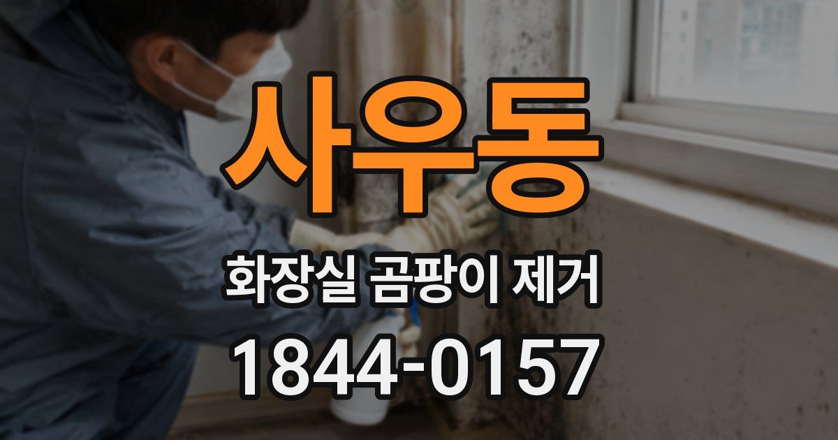 사우동 화장실 곰팡이 제거