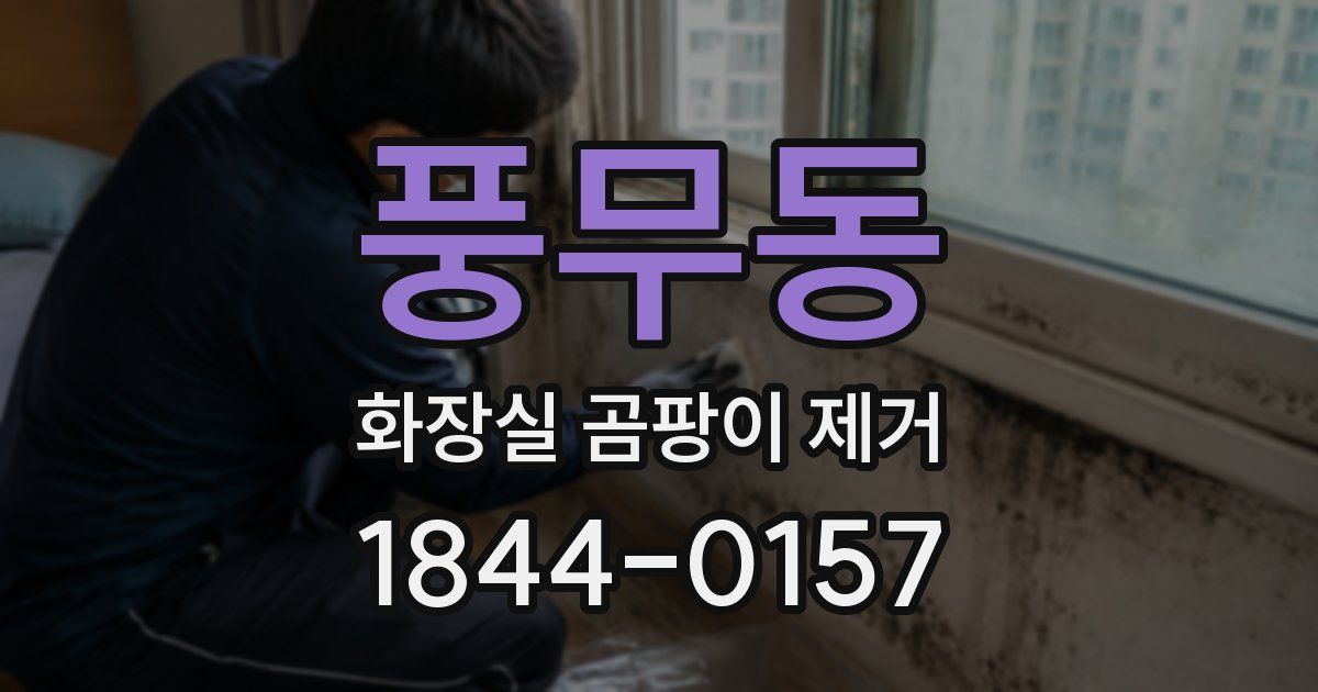 풍무동 화장실 곰팡이 제거