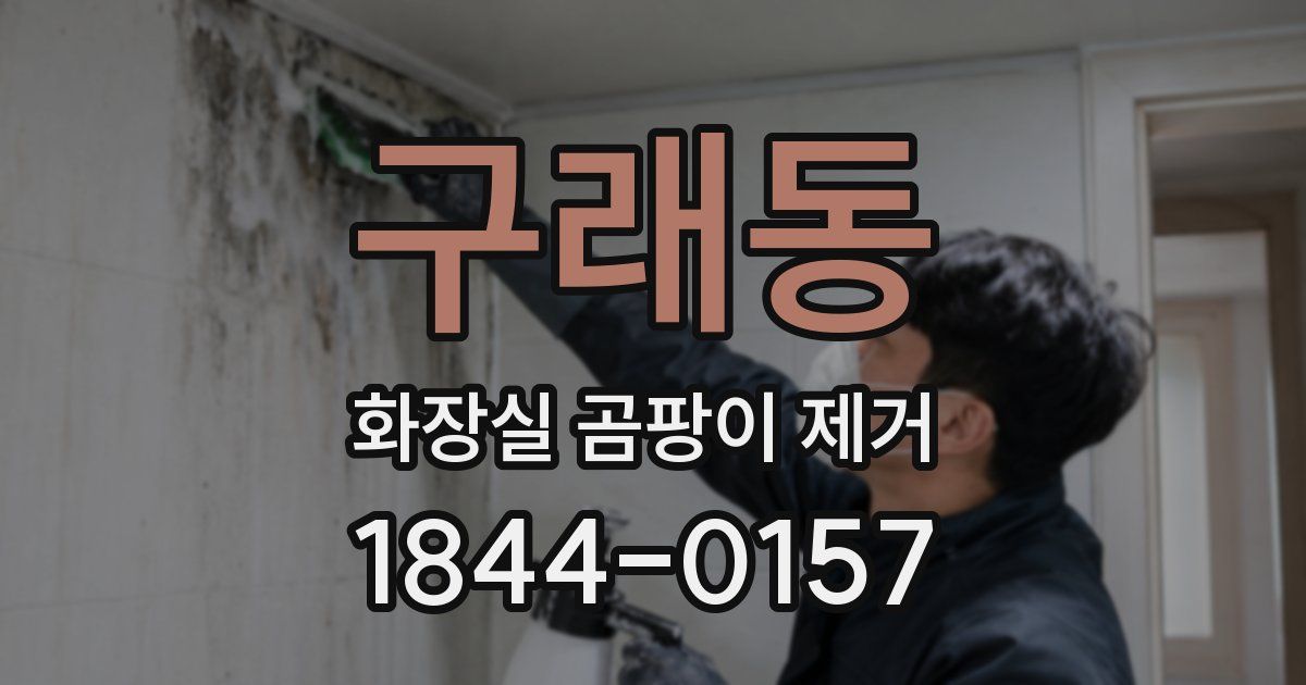 구래동 화장실 곰팡이 제거