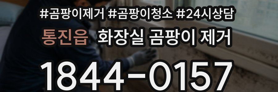 통진읍 화장실 곰팡이 제거