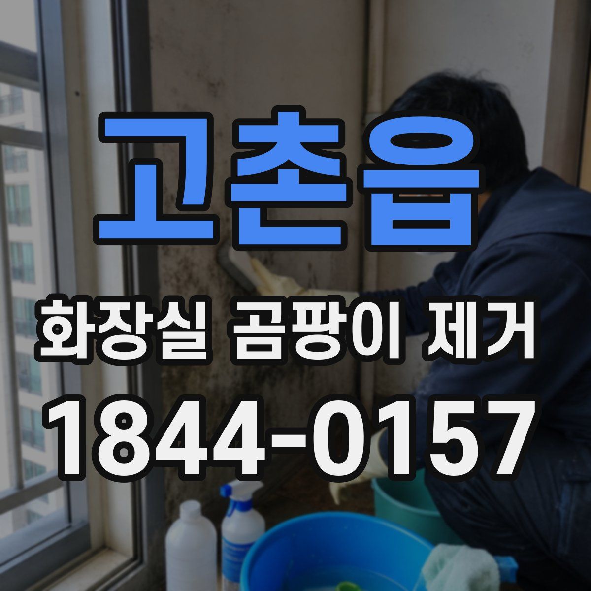 고촌읍 화장실 곰팡이 제거