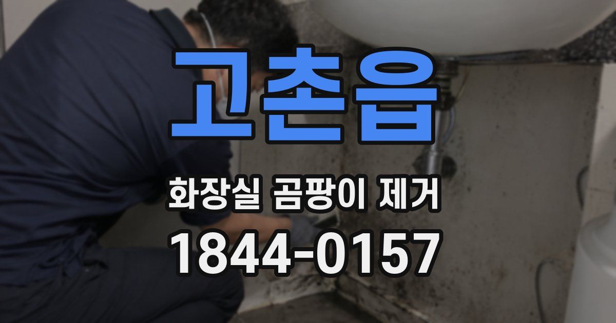 고촌읍 화장실 곰팡이 제거