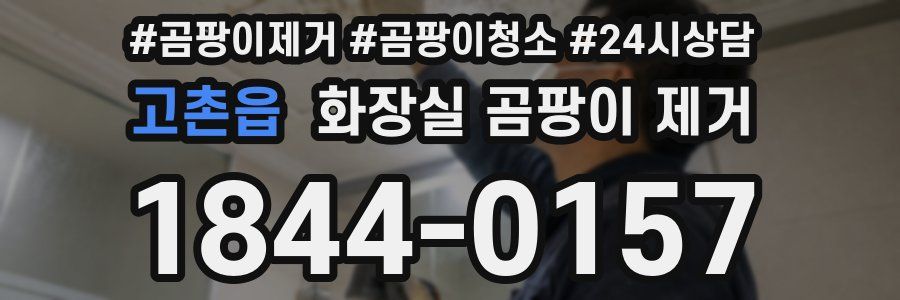 고촌읍 화장실 곰팡이 제거