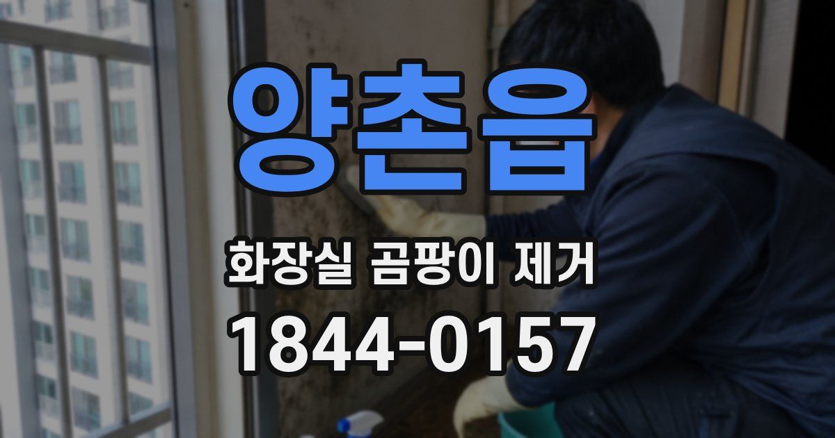 양촌읍 화장실 곰팡이 제거