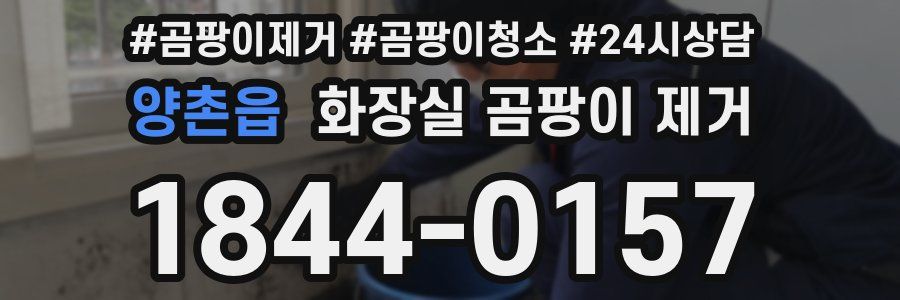 양촌읍 화장실 곰팡이 제거