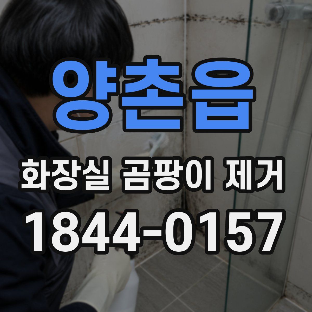 양촌읍 화장실 곰팡이 제거