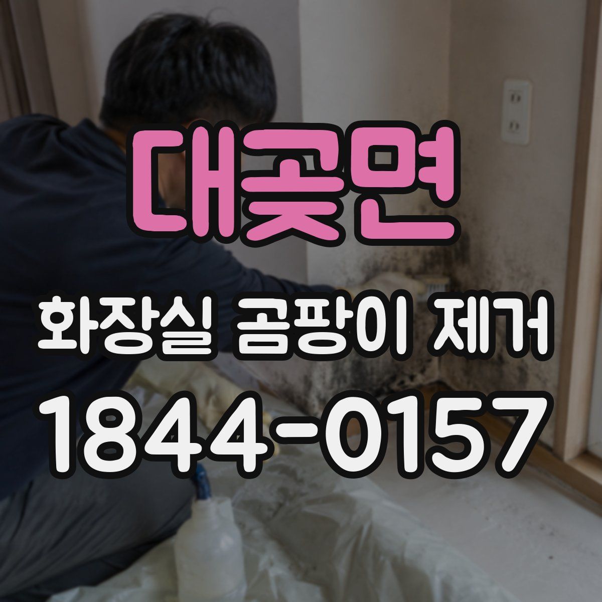 대곶면 화장실 곰팡이 제거
