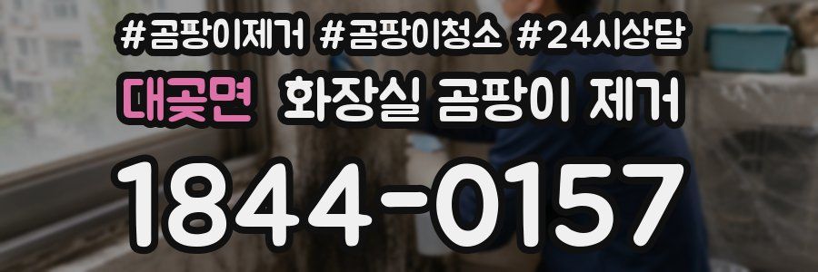 대곶면 화장실 곰팡이 제거