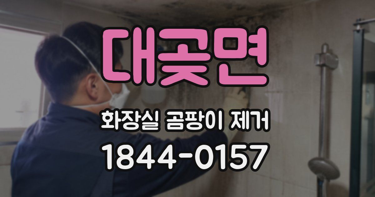 대곶면 화장실 곰팡이 제거