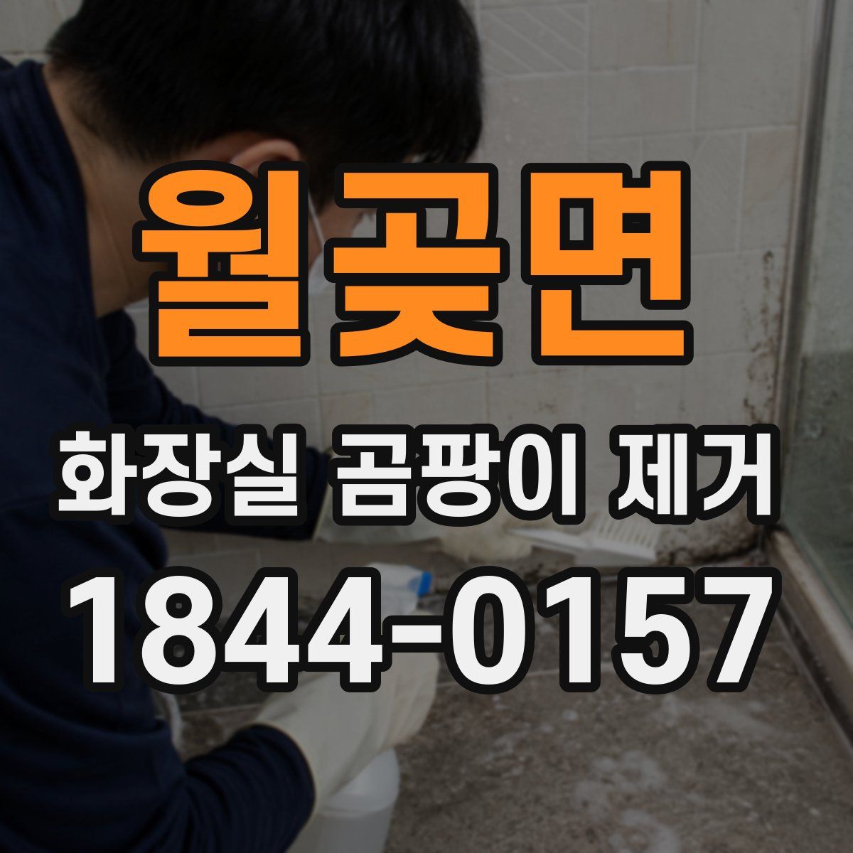 월곶면 화장실 곰팡이 제거