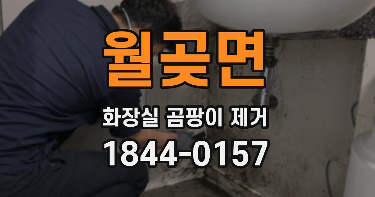 월곶면 화장실 곰팡이 제거