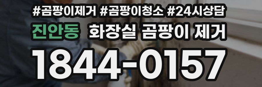 진안동 화장실 곰팡이 제거