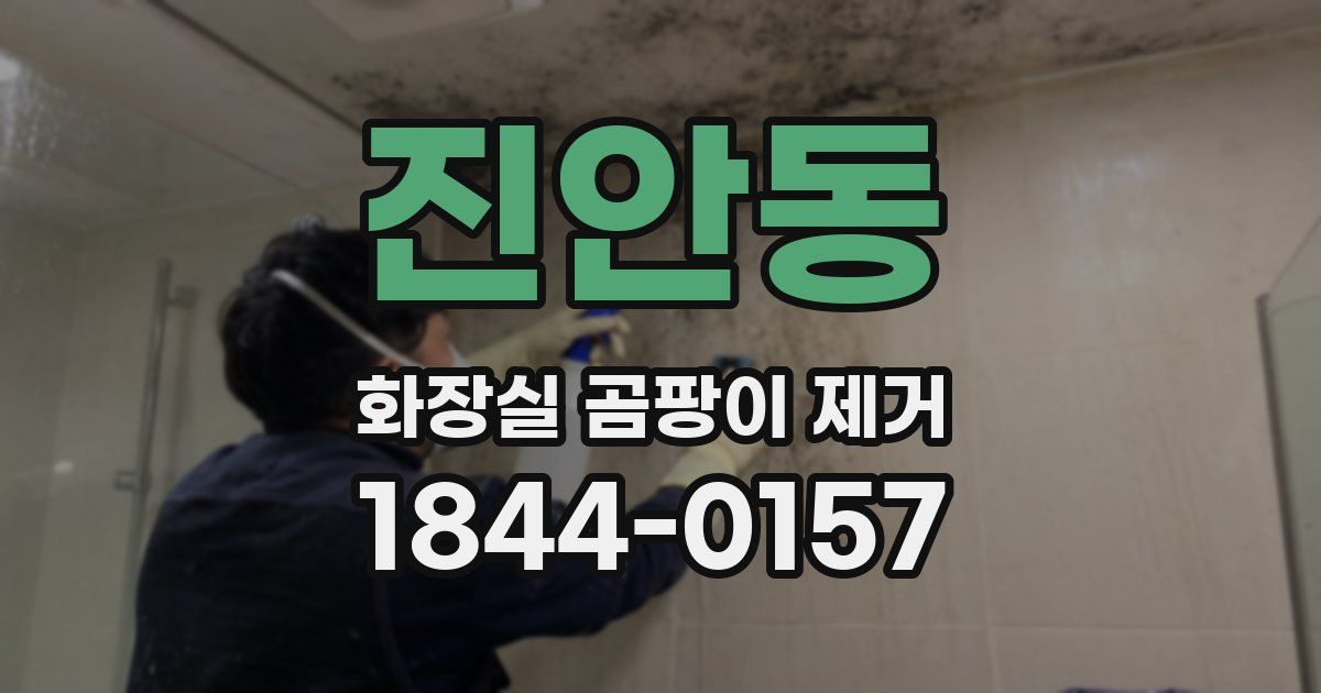 진안동 화장실 곰팡이 제거