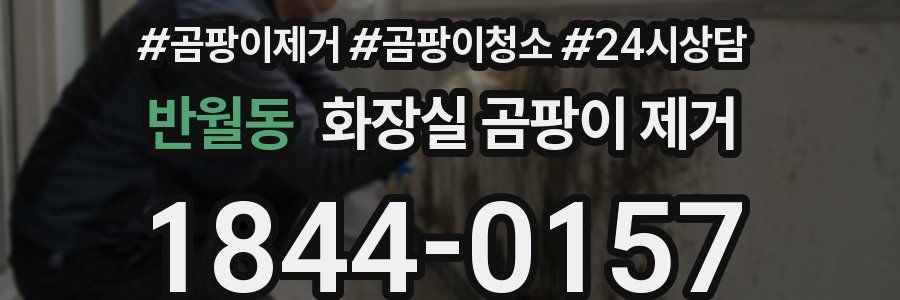 반월동 화장실 곰팡이 제거