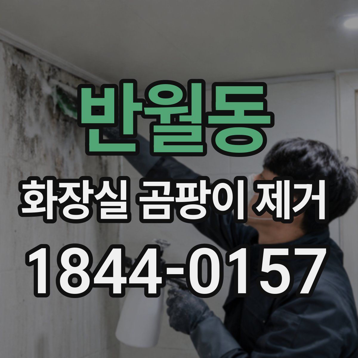 반월동 화장실 곰팡이 제거