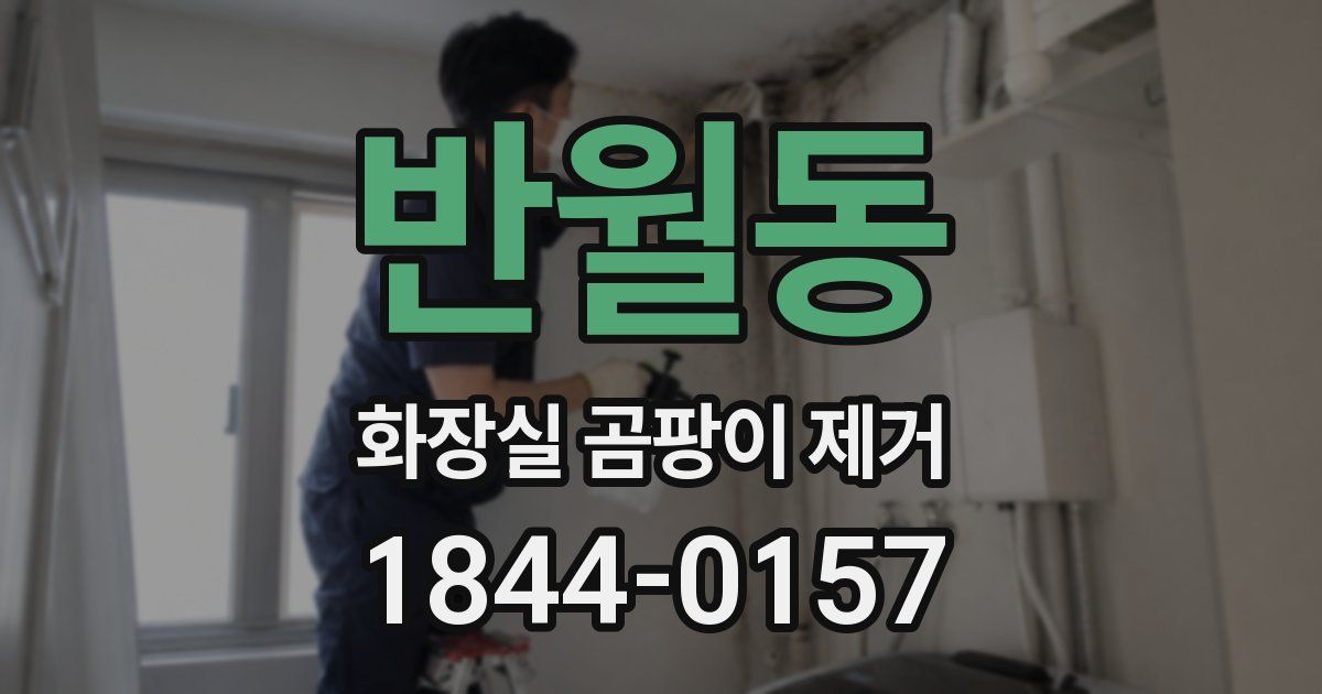 반월동 화장실 곰팡이 제거