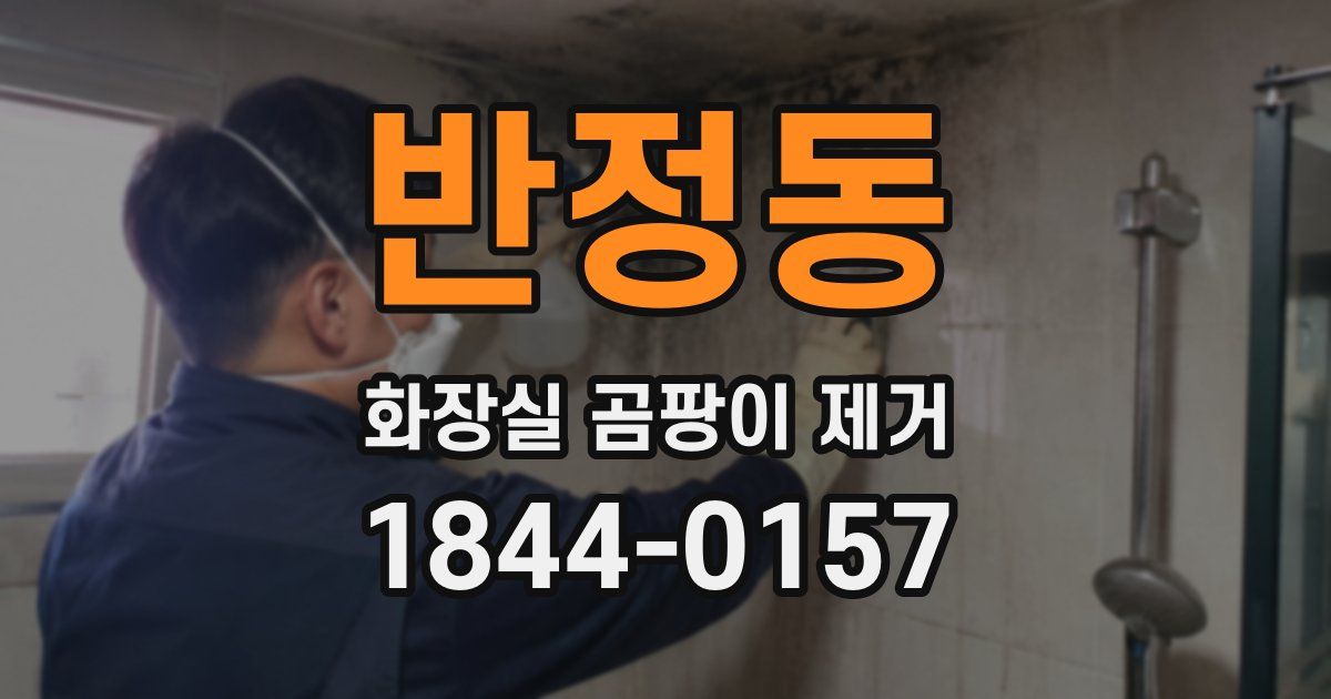 반정동 화장실 곰팡이 제거