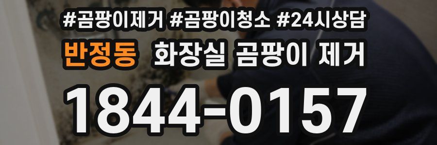 반정동 화장실 곰팡이 제거