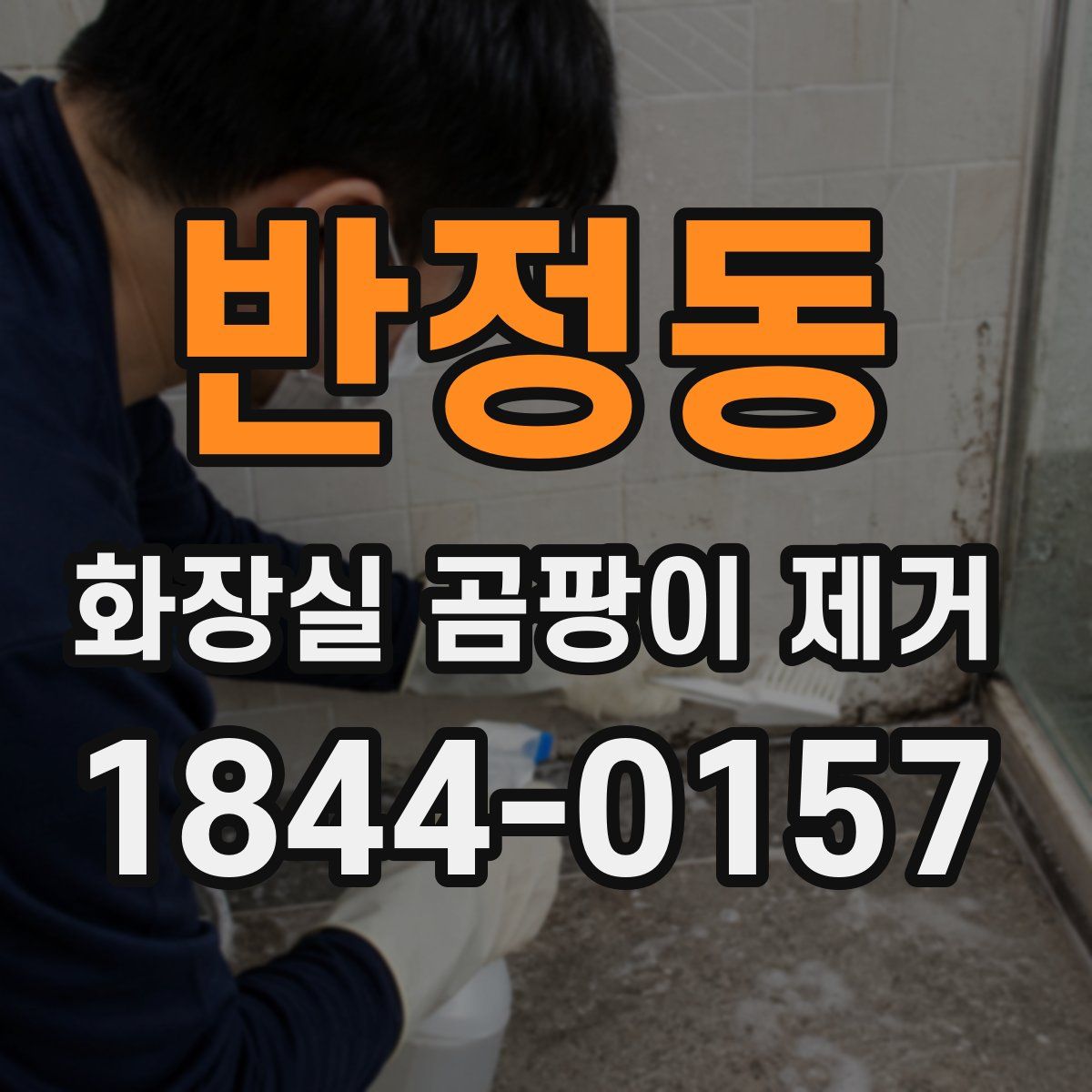 반정동 화장실 곰팡이 제거