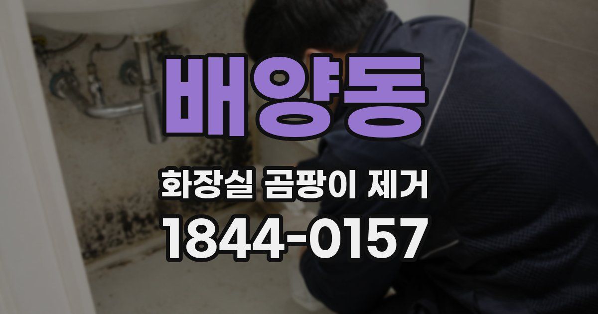 배양동 화장실 곰팡이 제거