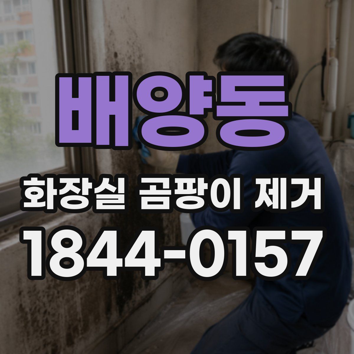 배양동 화장실 곰팡이 제거