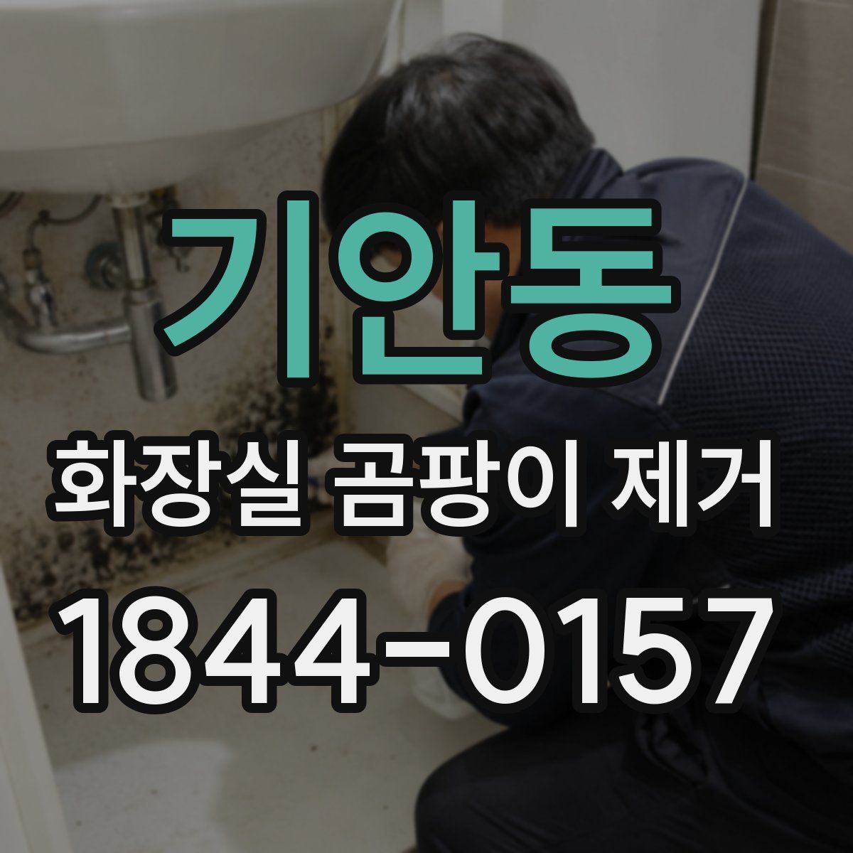 기안동 화장실 곰팡이 제거