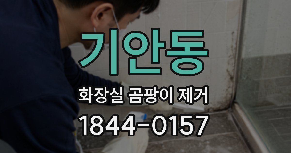 기안동 화장실 곰팡이 제거