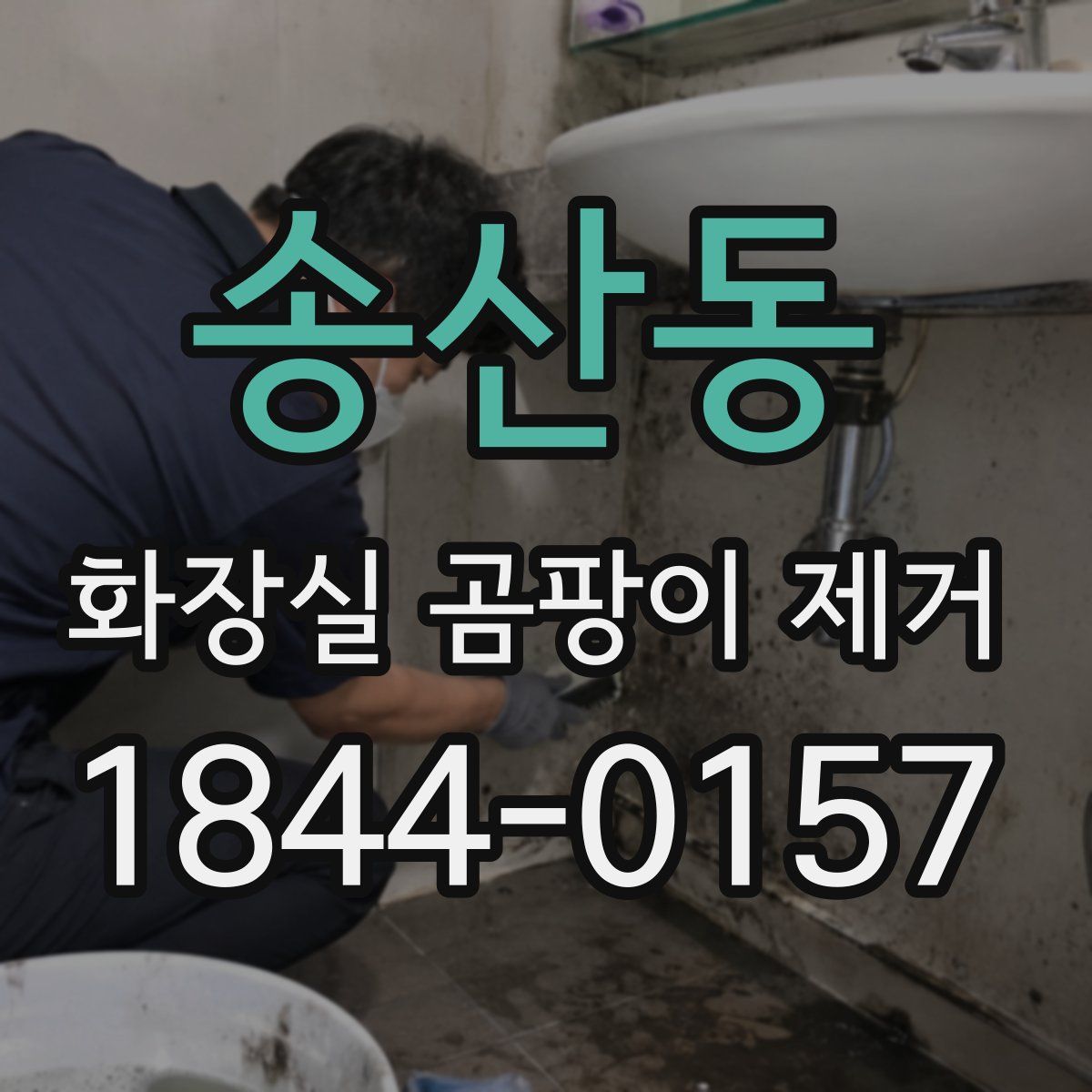 송산동 화장실 곰팡이 제거