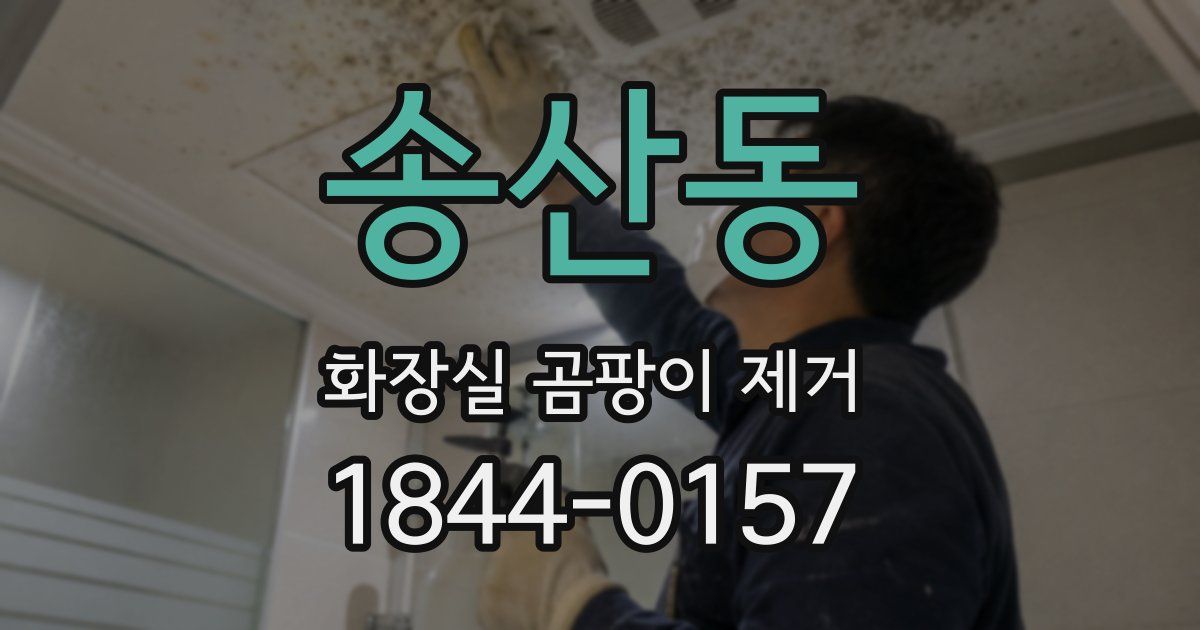 송산동 화장실 곰팡이 제거